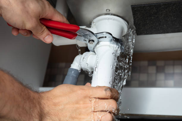 Best Water damage restoration near me  in Bonnie Brae, IL