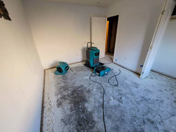 Best Water damage contractors near me  in Bonnie Brae, IL