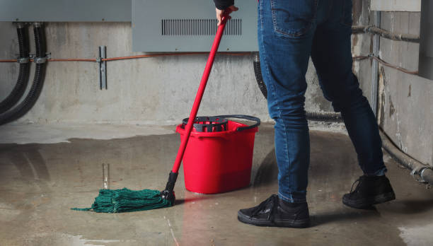 Best Ceiling water damage repair  in Bonnie Brae, IL