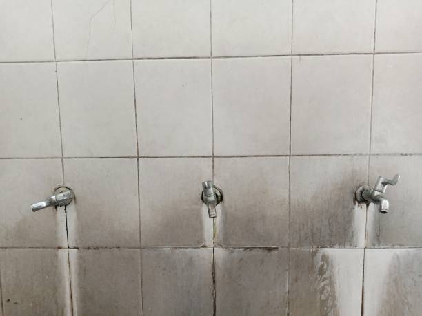 Professional Water damage restoration in IL